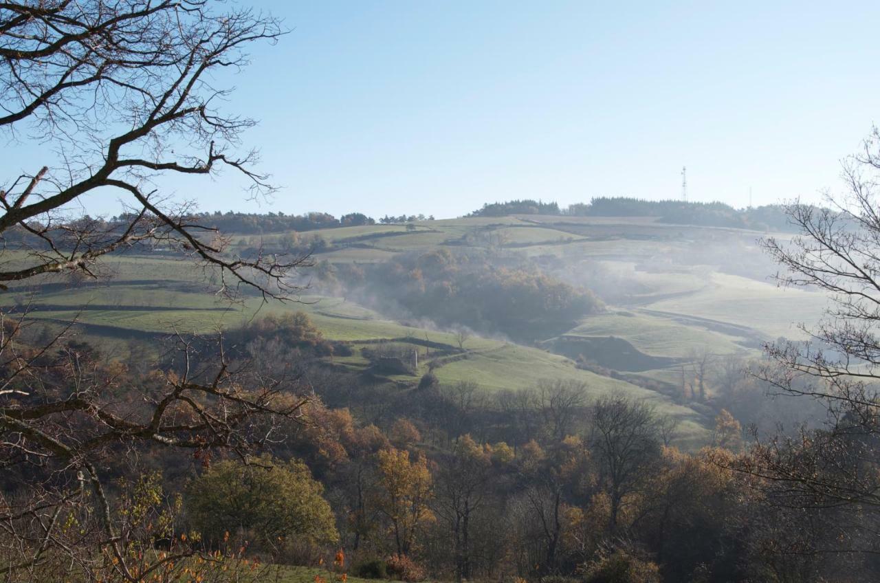 Gites Le Chene & Le Tilleul Saint-Romain-de-Lerps Exterior foto