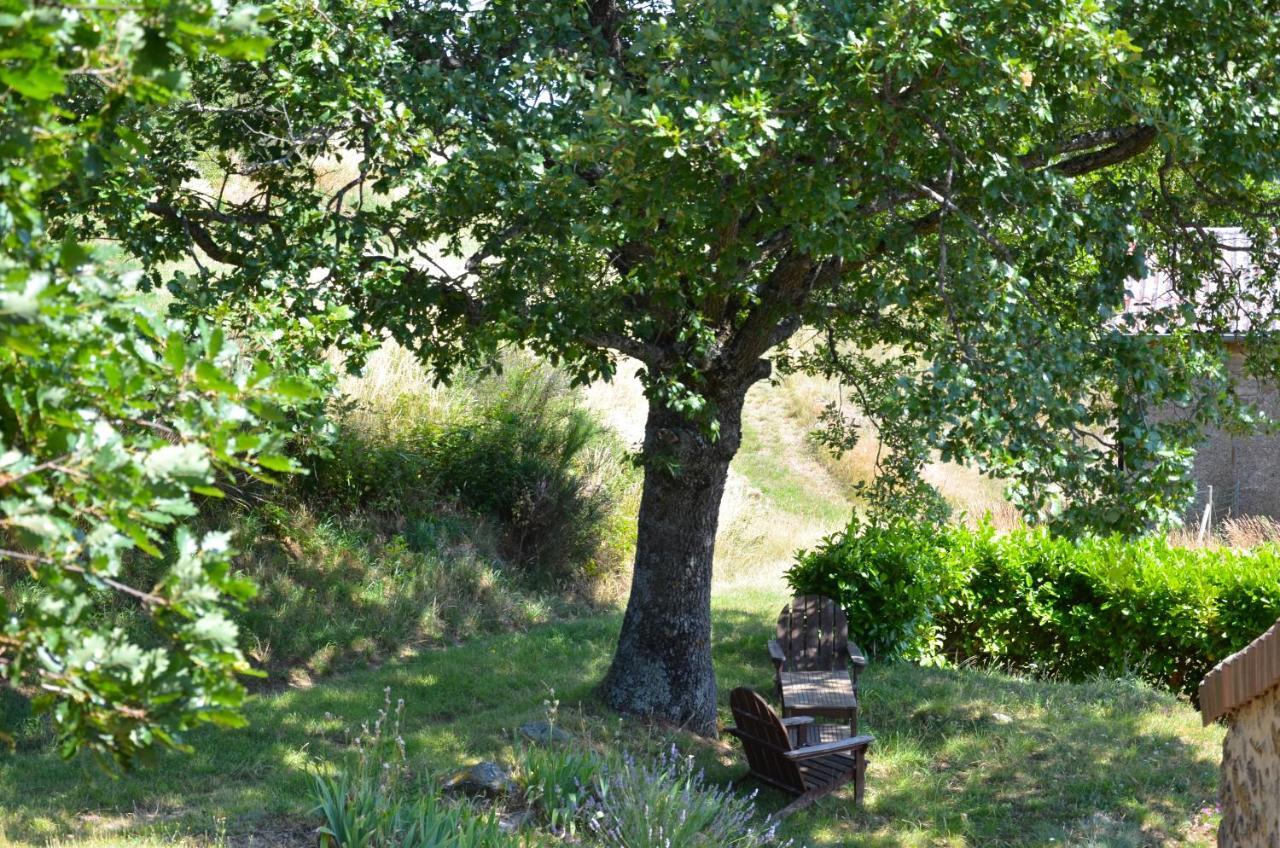 Gites Le Chene & Le Tilleul Saint-Romain-de-Lerps Zimmer foto